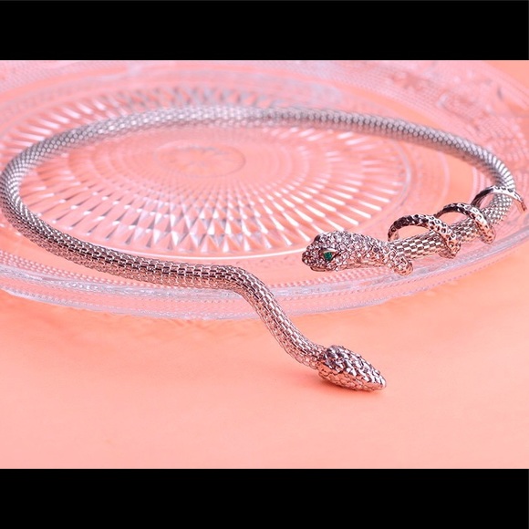 Vazira Queen Jewelry - Silver Snake Choker Necklace